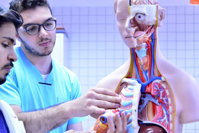الطب في جامعة نيشان تاشي