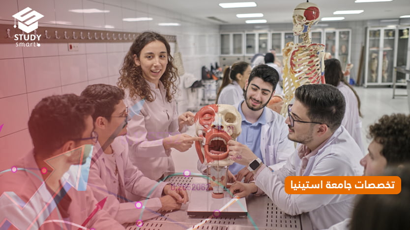 تخصصات جامعة استينيا