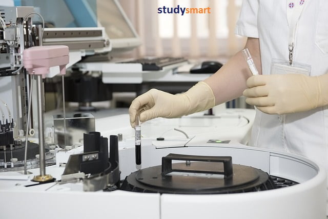 دراسة الطب في جامعة بهتشه شهير