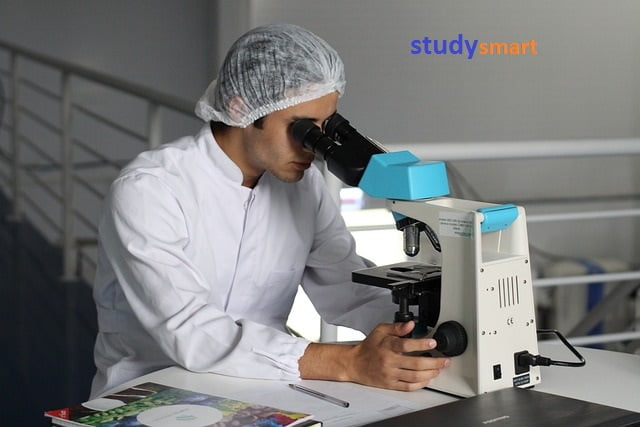 الصيدلة في جامعة بهتشة شهير